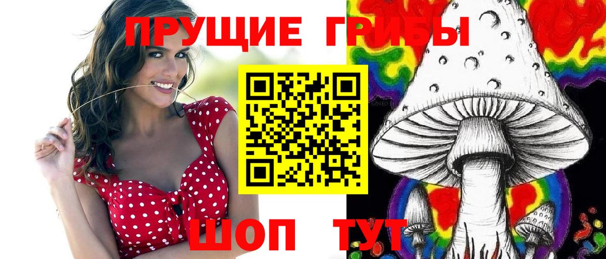 Псилоцибиновые грибы Cubensis Семилуки